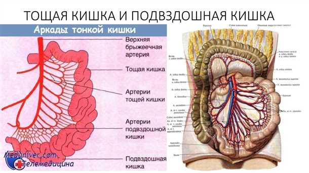 Причины