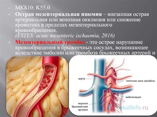 4. Состояния, связанные с повышенным риском тромбообразования