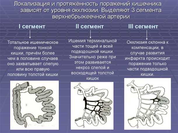 Первый шаг: Контроль кровяного давления