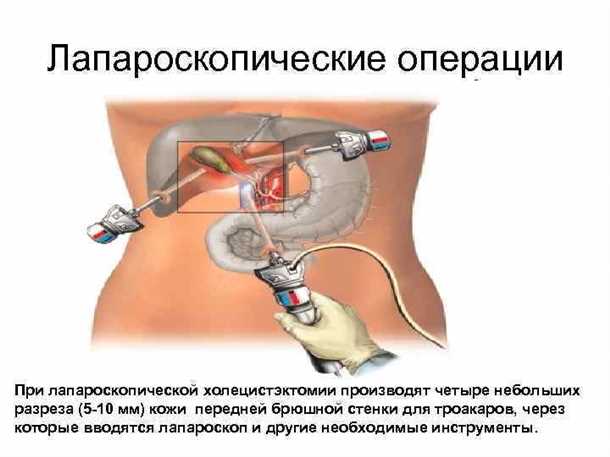 Последующая обследования и консультации