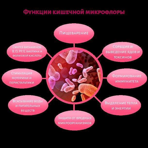 Идентификация и классификация условно-патогенных бактерий