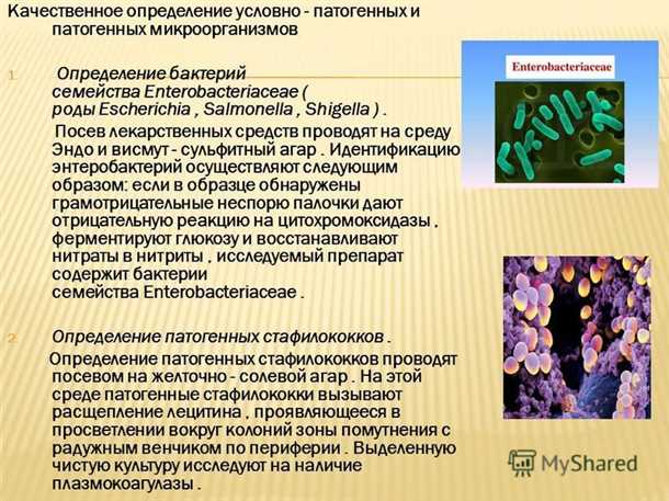 Стратегии лечения и профилактики