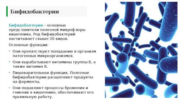 Влияние условно-патогенных бактерий на иммунитет