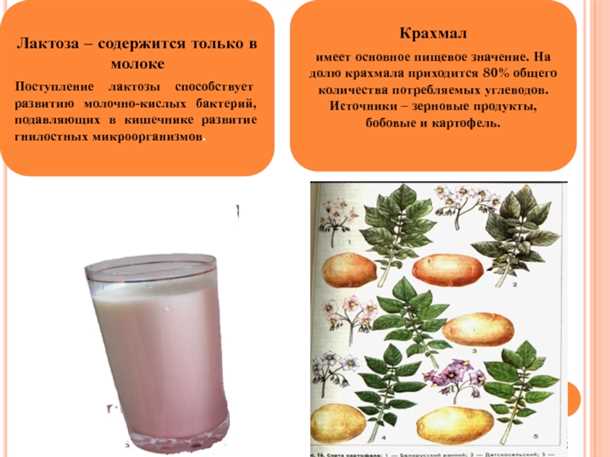 Дегидрирование