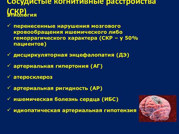 Профилактические меры для предотвращения проблем с венами головного мозга