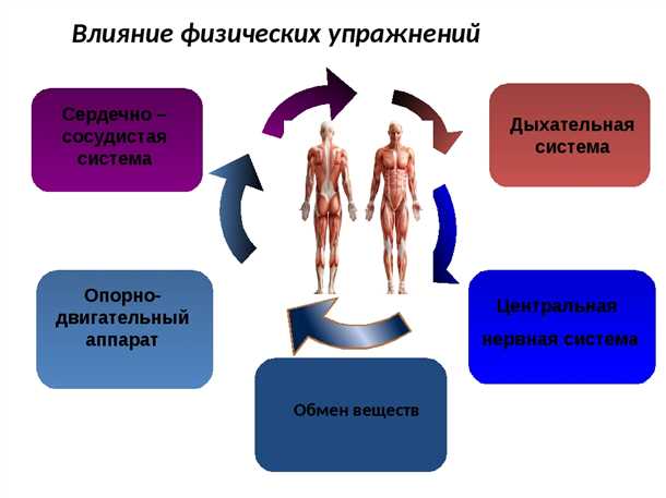 Как происходит формирование новых нейронов?