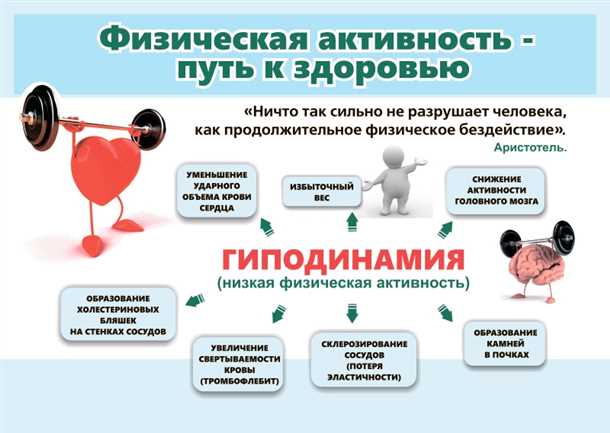 Благотворное воздействие активного образа жизни на состояние опорно-двигательной системы
