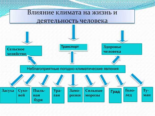 Температурные изменения и их воздействие на организм человека