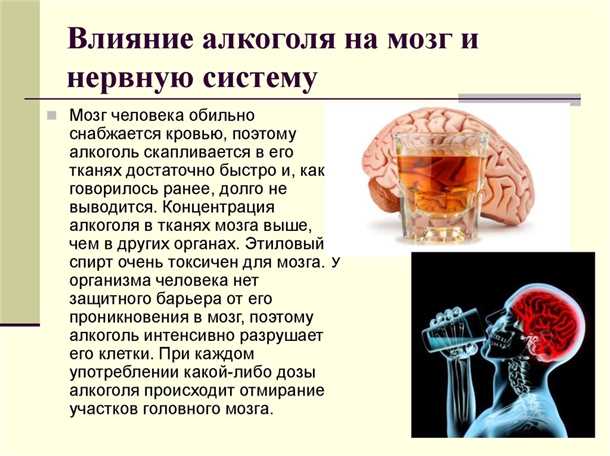 Влияние недосыпа на нервную систему и когнитивные функции
