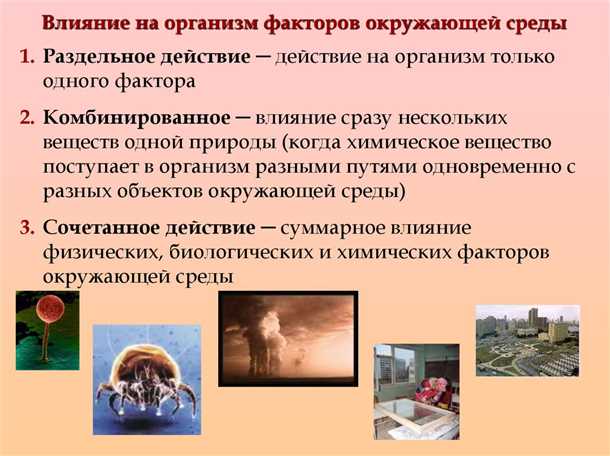 Увлажнение и очищение воздуха