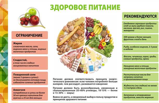 Значимость антиоксидантов в предотвращении возникновения патологических изменений в организме