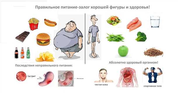 Влияние питания и диетического режима на профилактику дегенеративных заболеваний для сохранения здоровья и долголетия Влияние питания и диеты на профилактику дегенеративных заболеваний.