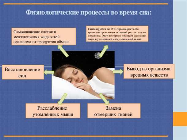 Механизмы воздействия стресса на нервные клетки