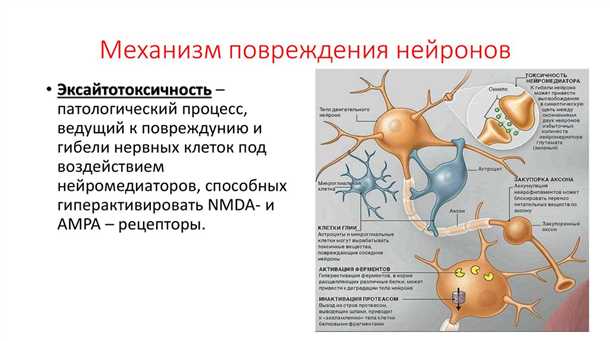 Влияние сна на метаболизм патологических белков