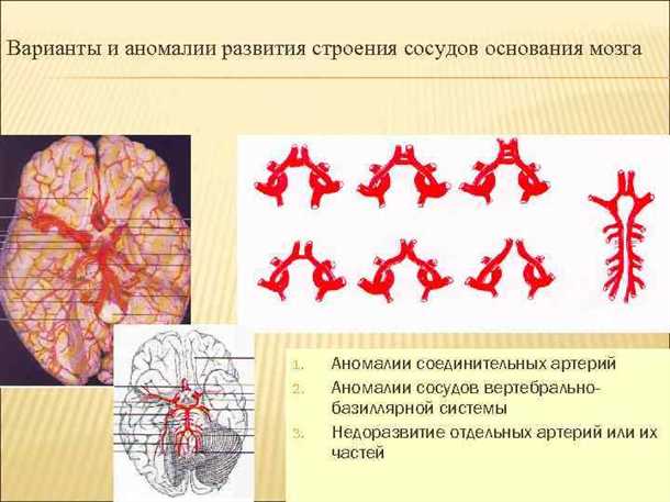 Процедура проведения интервенционной рентгенографии и ангиографии