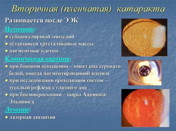  Послеоперационный период и рекомендации 