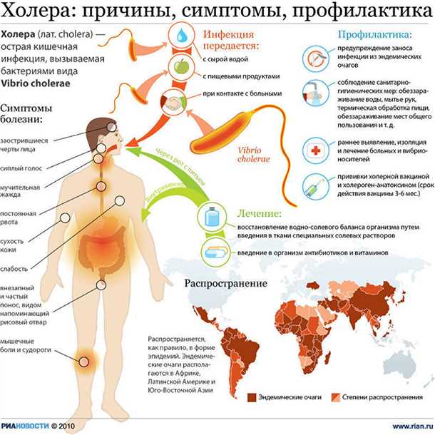 Диагностирование холеры