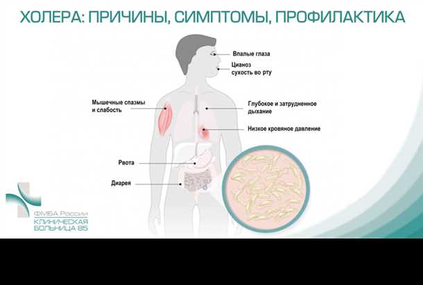 Контакт с загрязненными предметами