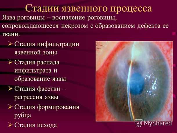 1. Травмы и повреждения