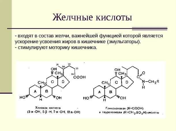 Влияние питания на уровень желчных кислот