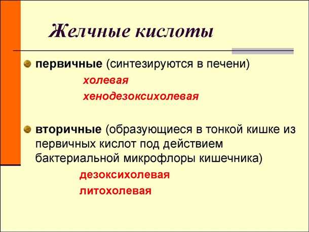 Желчные кислоты