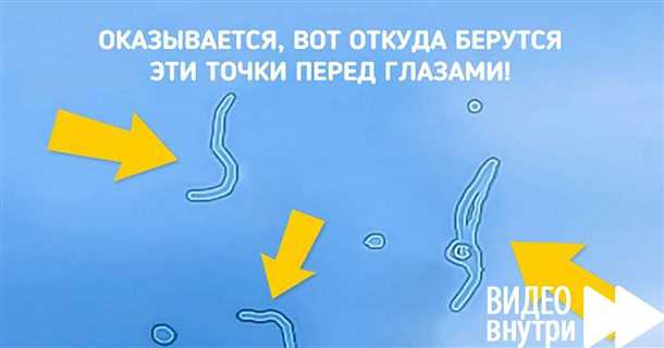 Соблюдайте режим работы и отдыха